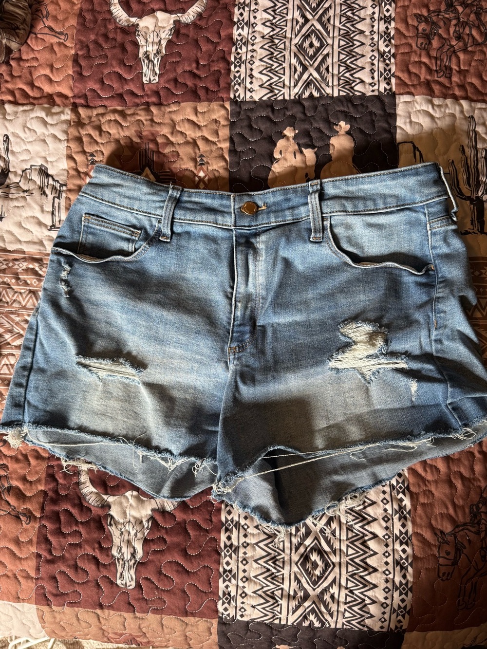 Distressed Jean Shorts